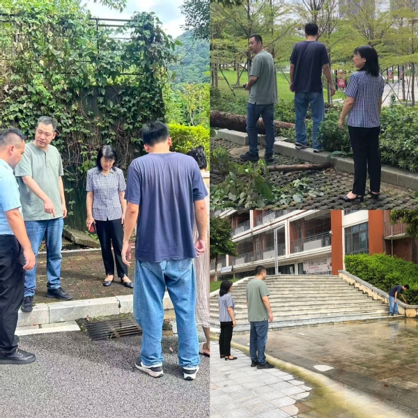 细致巡查提质增效，美化环境迎开...