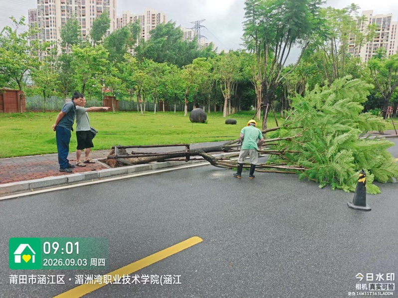 紧盯风险隐患排查，夯实网格巡查...